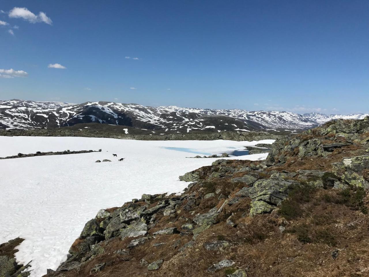 Voss Mountain Lodge Mjolfjell Luaran gambar